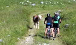 Domenica 30 agosto ore 9:00-12:30 – TRA LE MALGHE IN MTB BIKE