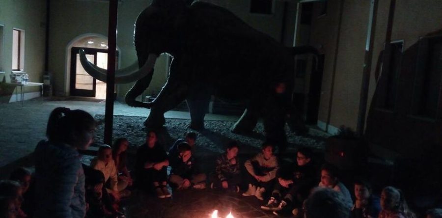 N17 lo sapevi che…eupolis a domicilio – UN MAMMUT IN CORTILE