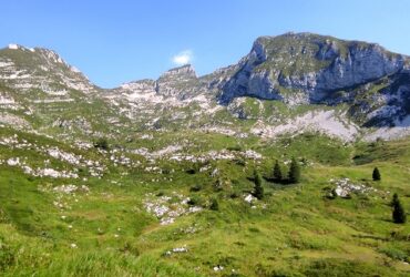 PIANCAVALLO OUTDOOR ESTATE 2023