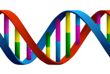 DNA AND… tra scienza e coscienza moderna