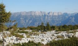 Sabato 29 agosto ore 8:30-16:00 – IL MONTE CJASTELAT