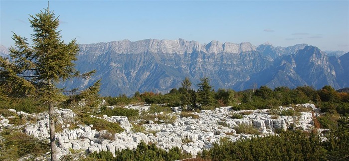 Sabato 29 agosto ore 8:30-16:00 – IL MONTE CJASTELAT