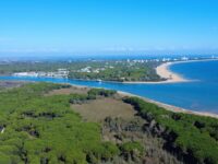 Sabato 17 ottobre ore 9:00-12:30 – AUTUNNO AL FARO E FOCE DEL TAGLIAMENTO