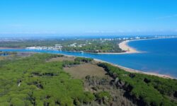 Sabato 17 ottobre ore 9:00-12:30 – AUTUNNO AL FARO E FOCE DEL TAGLIAMENTO